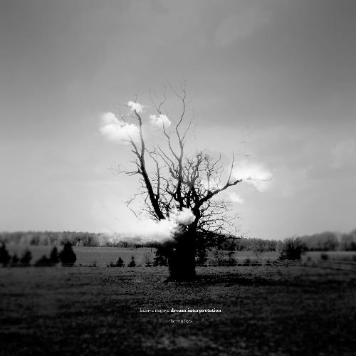 Wolfman's Dream (Yotam Avni Remix) cover art