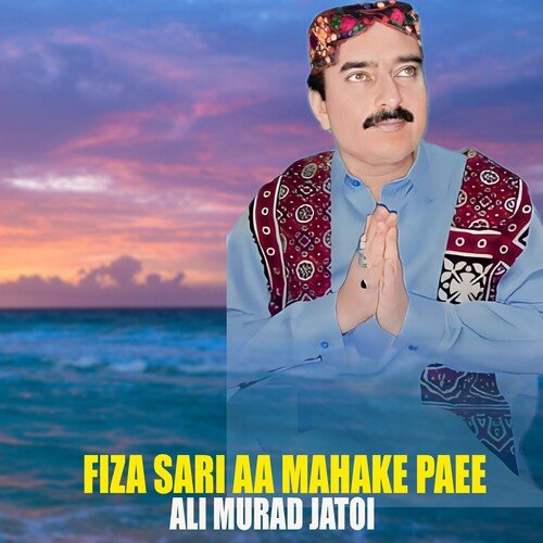 Fiza Sari Aa Mahake Paee