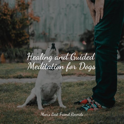 Meditating Music cover art