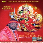 Jagrata Sheran Wali Da