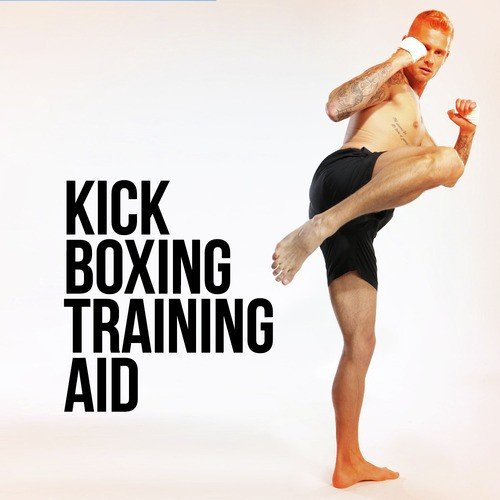 Kick Boxing Training Aid