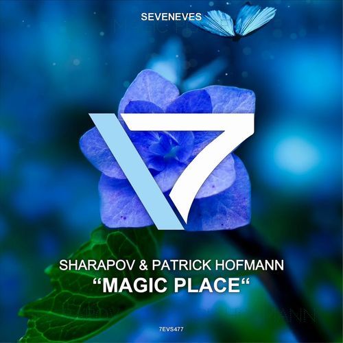 Magic Place_poster_image