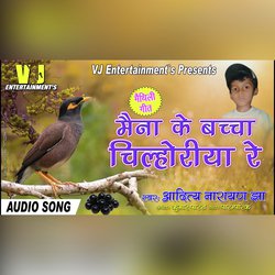 Maina Ke Bachcha (Maithili Song)-BREddEVSeXA