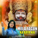 Mela Fagun Ka Aaya Hai