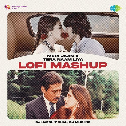 Meri Jaan x Tera Naam Liya - LoFi Mashup