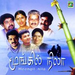 Thiruda Thiruda