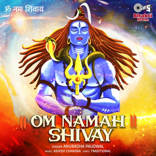 Om Namah Shivay