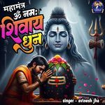 Om Namah Shivaya Dhun