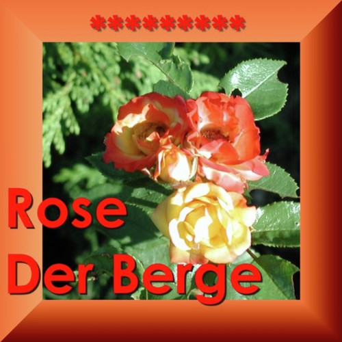 Rose Der Berge - Die Schönste Volksmusik