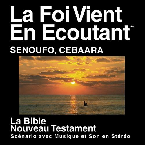 Sénoufo Cebaara Du Nouveau Testament (Dramatisé) - Senoufo Cebaara Bible