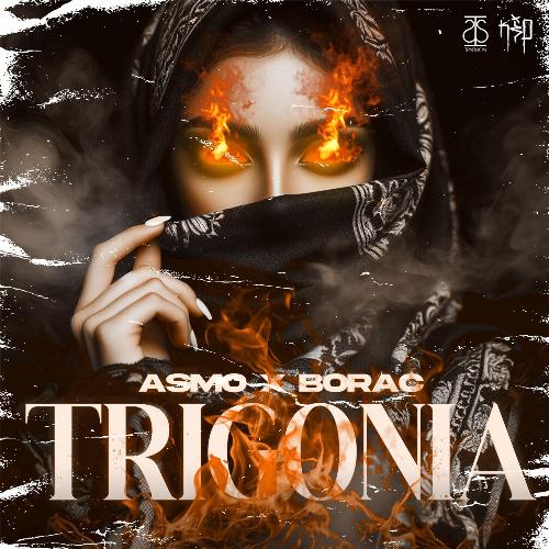 TRIGONIA_poster_image