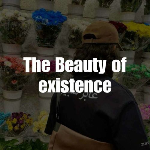 The Beauty of Existence