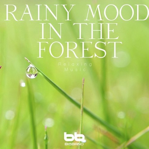 The Rainy Sound on the Mountain  (Camping Relaxing Music)