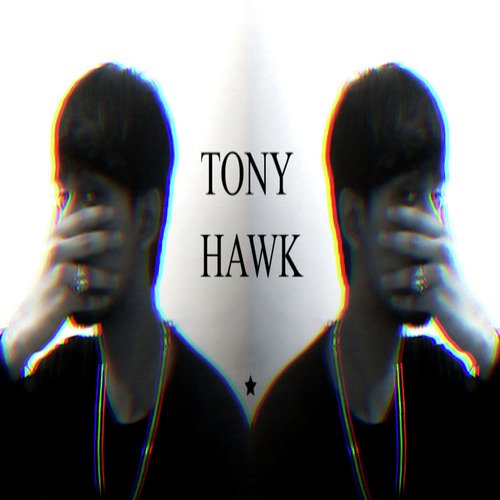 Tony Hawk (love myself i do)