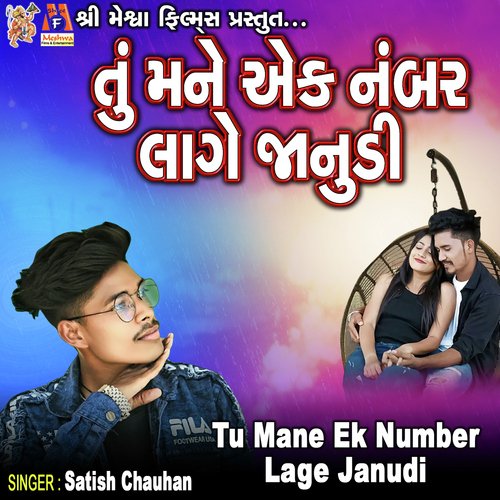 Tu Mane Ek Number Lage Janudi