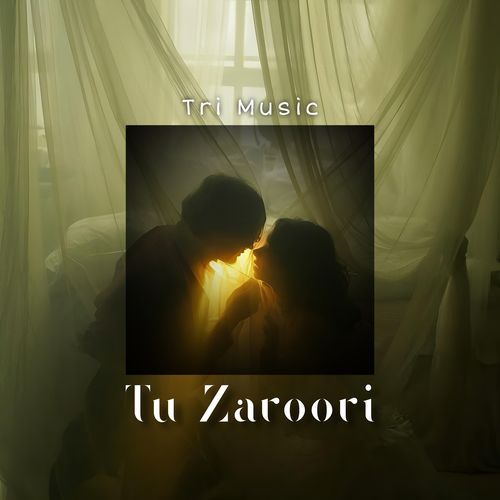 Tu Zaroori (Cover)