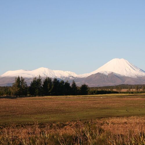 Wasary Expanse