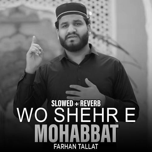 Wo Shehr e Mohabbat (Lofi-Mix)
