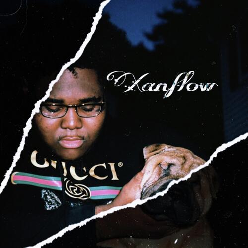 Xanflow