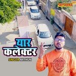 Yaar Collactor