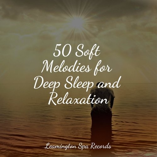Sleep Music cover art