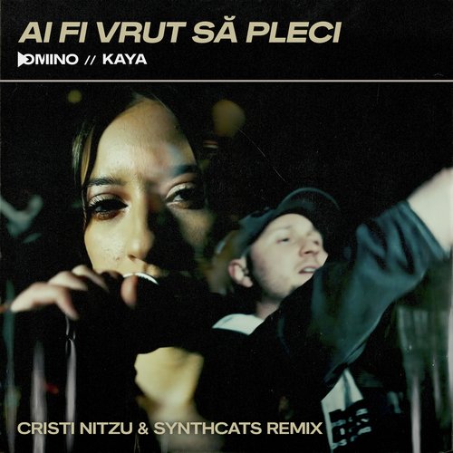 Ai fi vrut să pleci (Cristi Nitzu & Synthcats Remix)