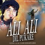 Ali Ali Dil Pukare (18 Zilhaj Ghadeer Special)