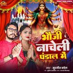 Bhauji Nacheli Pandal Me