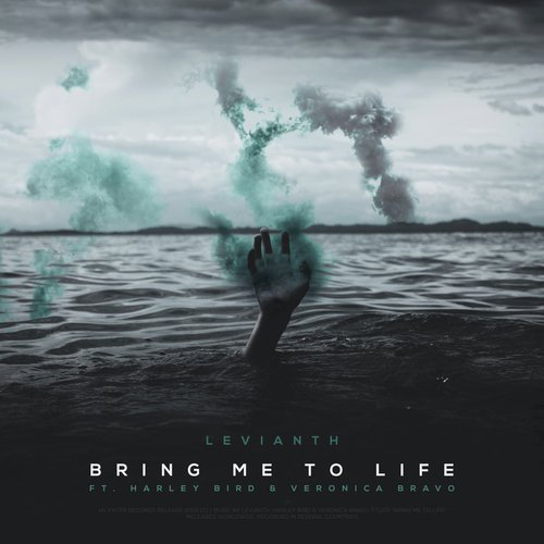 Bring Me To Life_poster_image