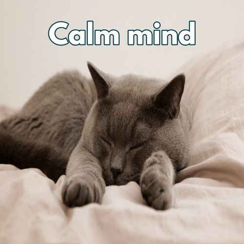 Mindful calm cover art