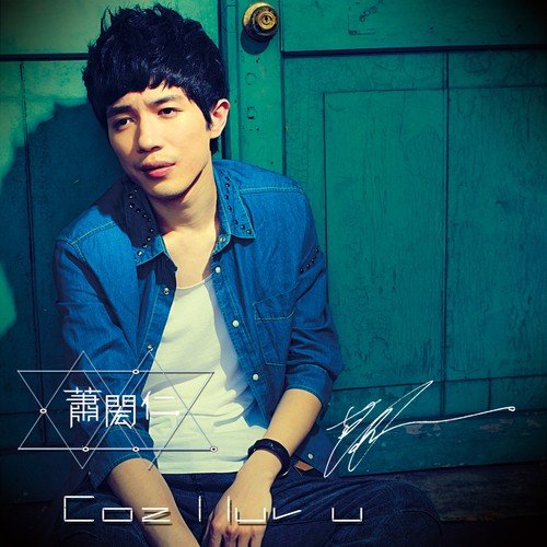 Cause I Love You cover art
