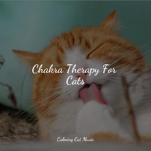 Meditating Music cover art