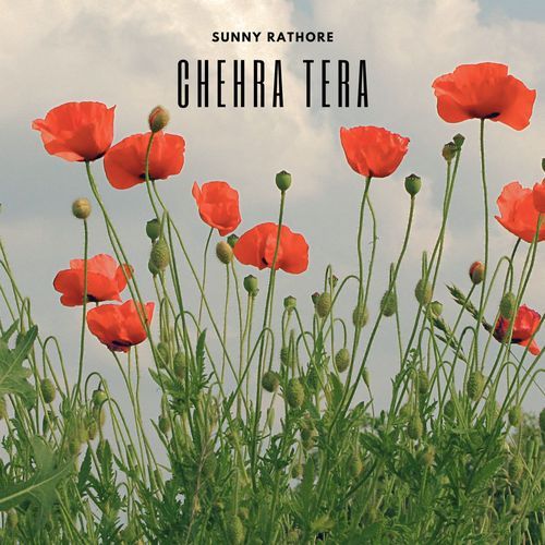Chehra Tera