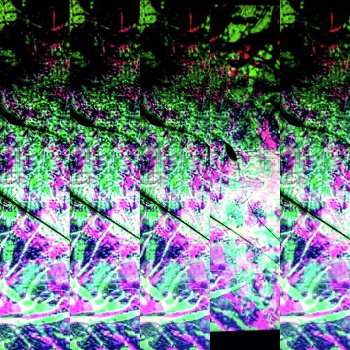 Digital Breath cover art
