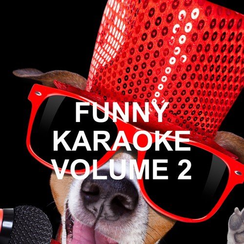 Funny Karaoke, Vol. 2