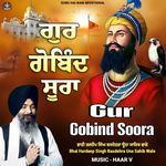 Gur Gobind Soora