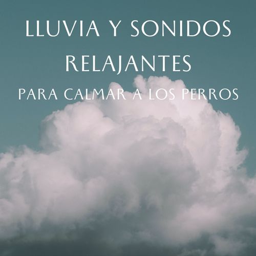 Canciones De Cuna Para Perros En Ritmo De Lluvia cover art