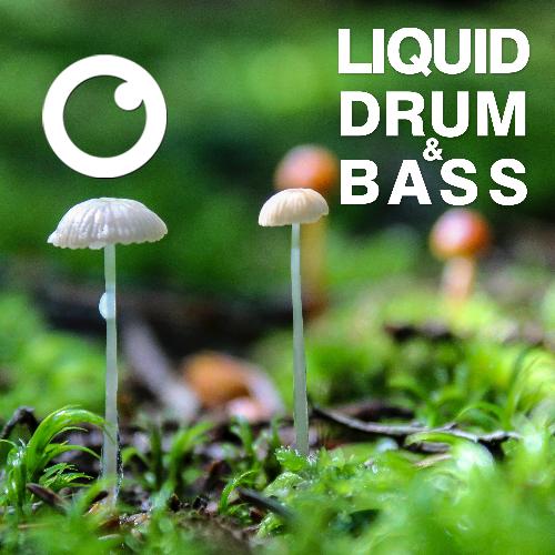 Liquid Drum & Bass Sessions 2020 Vol 36