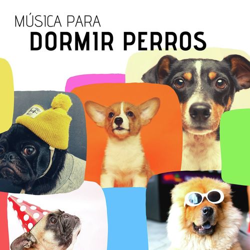 Música para Dormir Perros cover art