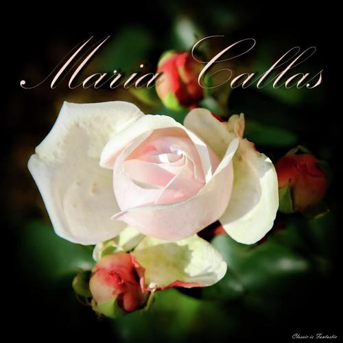 Maria Callas - Essential Arias