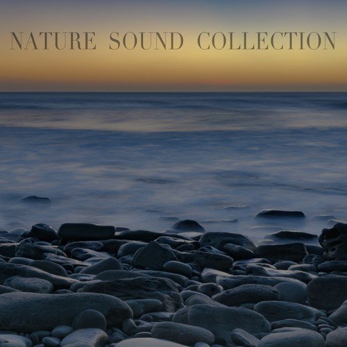 Nature Sound Collection cover art