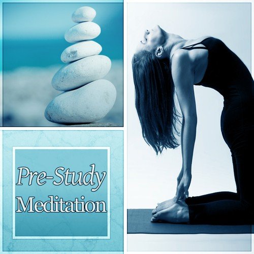 Pre-Study Meditation –  Background Music for Learning, Study Skills, Brain Exercises, Increase Concentration, Improve Memory, Nature Sounds, Peace of Mind, Creative Thinking