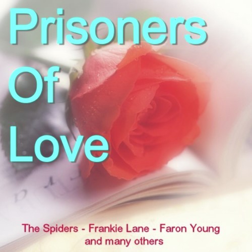 Live Fast Love Hard Die Young Lyrics Faron Young Only On