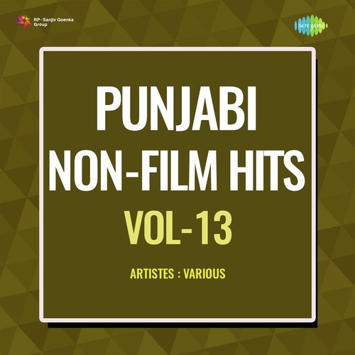 Punjabi Non - Film Hits Vol - 13