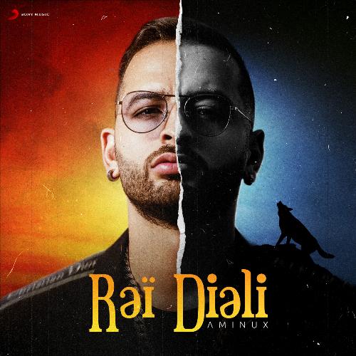 Rai Diali_poster_image