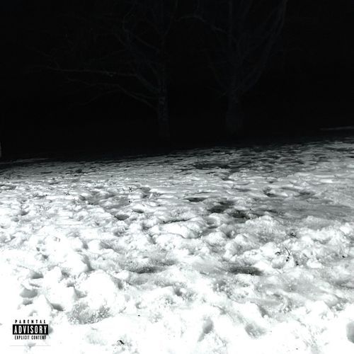 Red Snow cover art