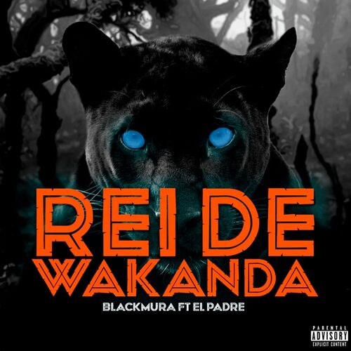 Rei de Wakanda_poster_image