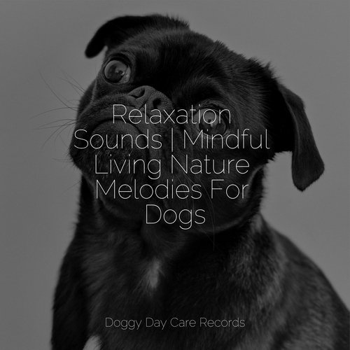 Relaxation Sounds | Mindful Living Nature Melodies For Dogs