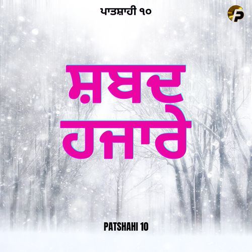 Shabad Hazare Patshahi 10 (Slow+Rewerb)