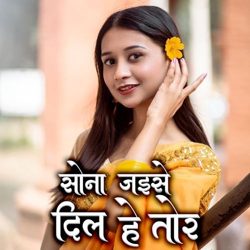 Sonaa Jaise Dil He Tor